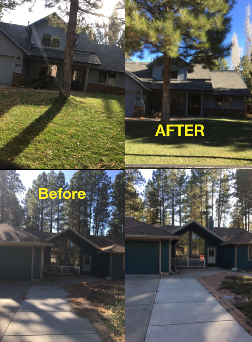 Landscape Maintenance Service in Flagstaff and Sedona AZ