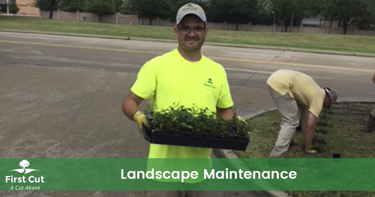 Fort Worth Landscaping Service
