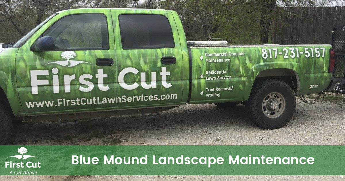 Bush Trimming Service in Blue Mound Texas