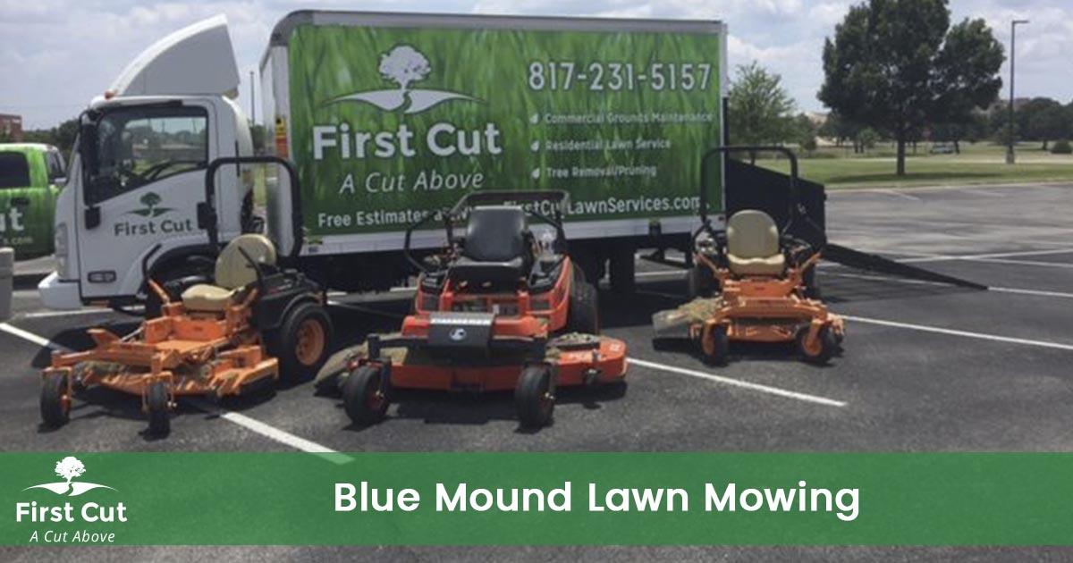 Lawn Mowing Service in Blue Mound Texas