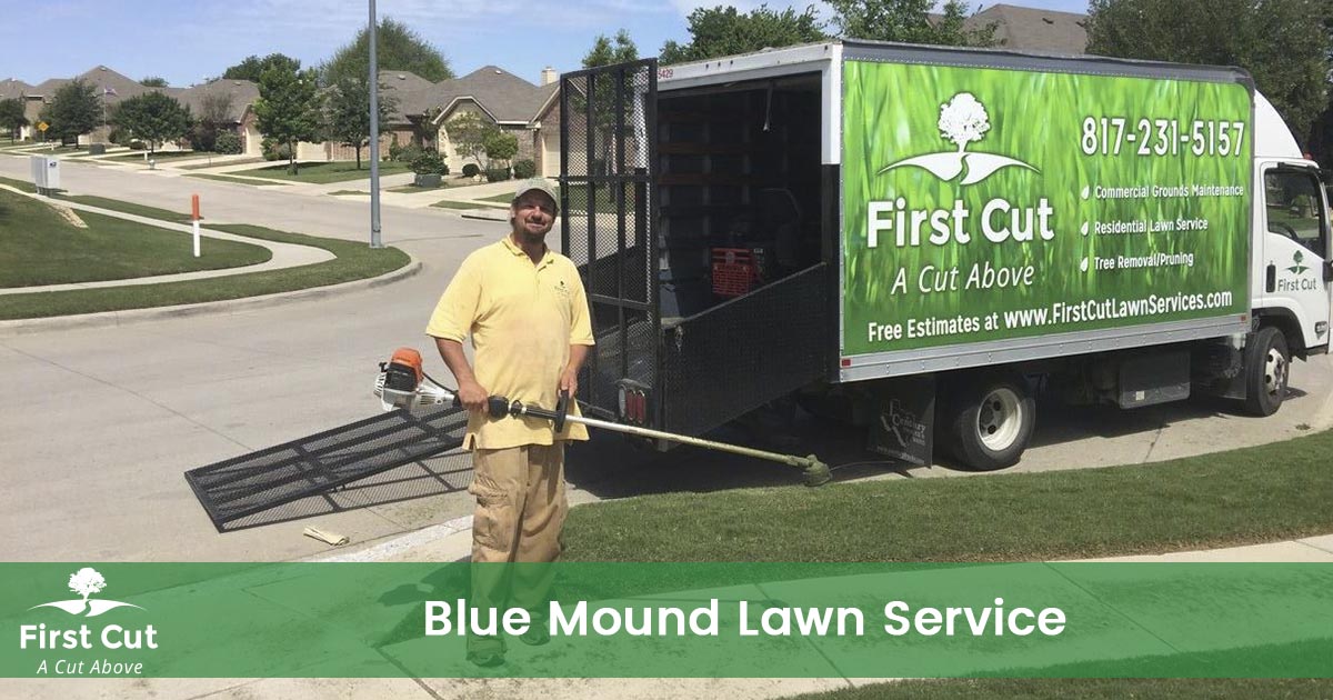 Lawn Service in Blue Mound Texas