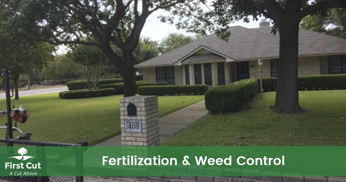 Lawn Fertilization & Weed Control