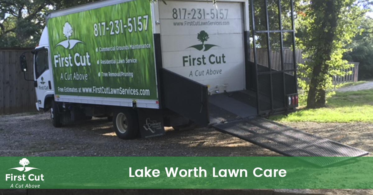 Lawn Care Service in Lake Worth Texas