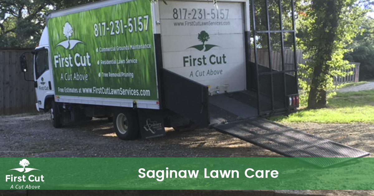 Lawn Care Service in Saginaw Texas