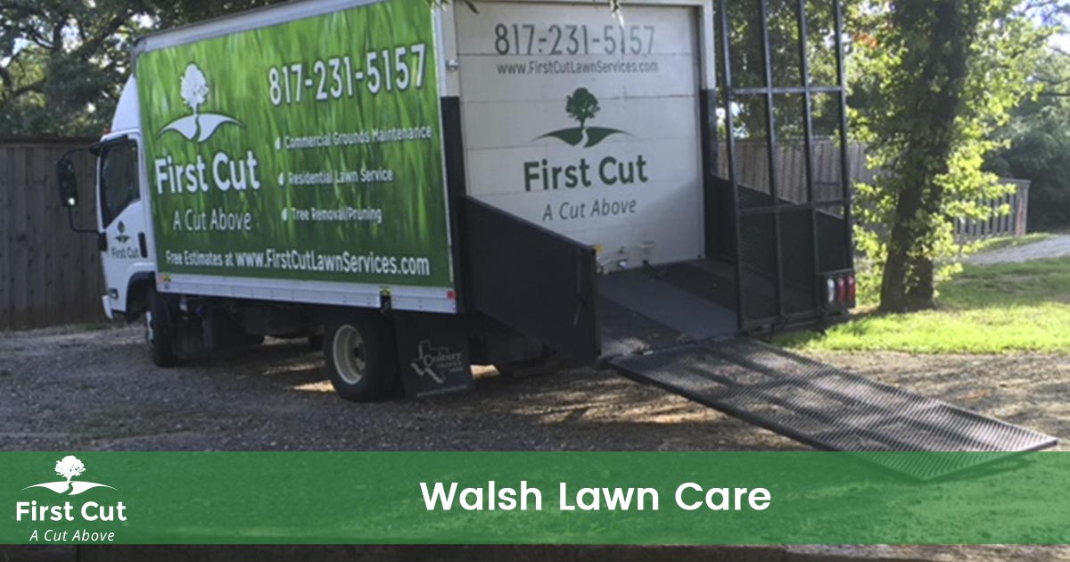 Lawn Care Service in Walsh Texas