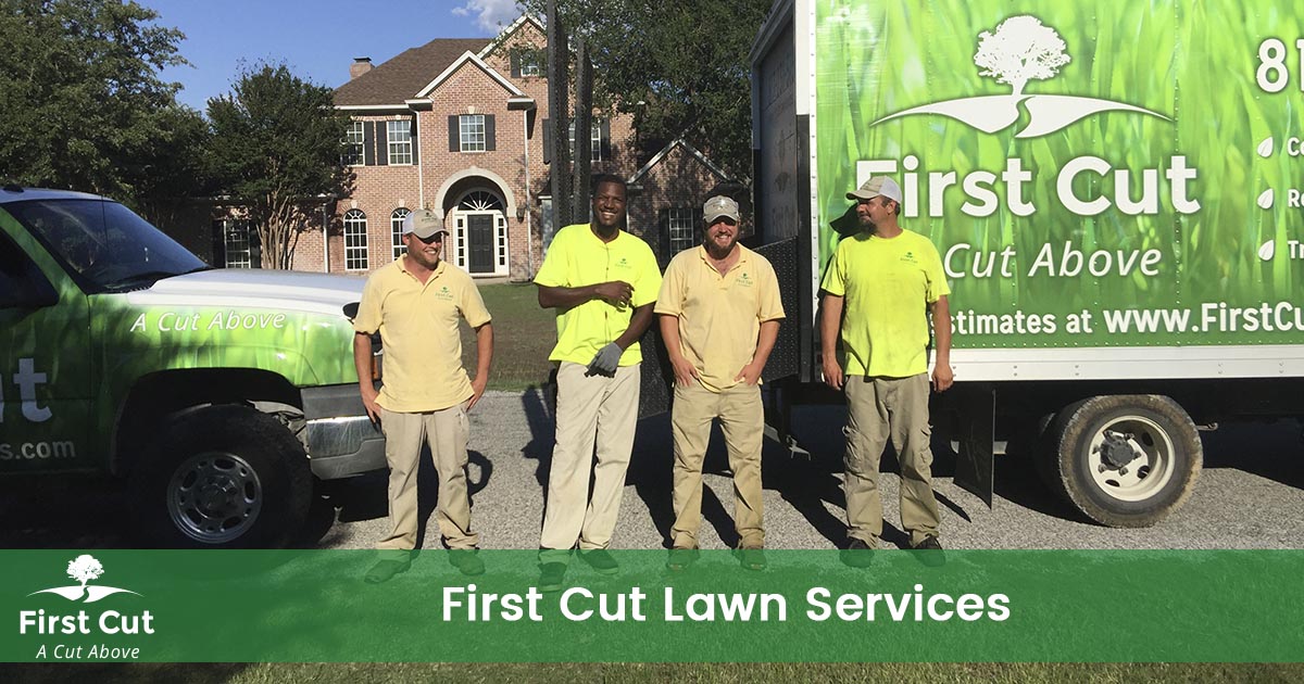 First Cut Lawn Services