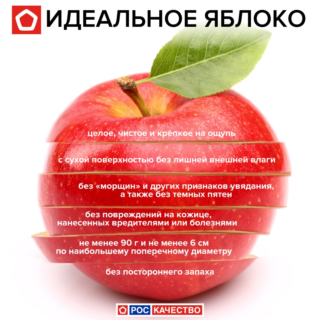 В Якутии полицейский пристегнул задержанного наручниками к батарее. Тот погиб, обварившись кипятком картинки В Якутии полицейский пристегнул задержанного наручниками к батарее. Тот погиб, обварившись кипятком картинки