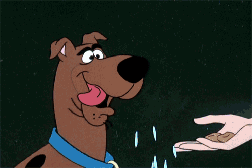 scooby galletas para la estrategia digital
