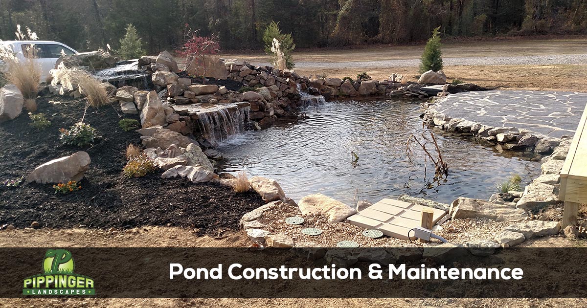 Pond Installation Services