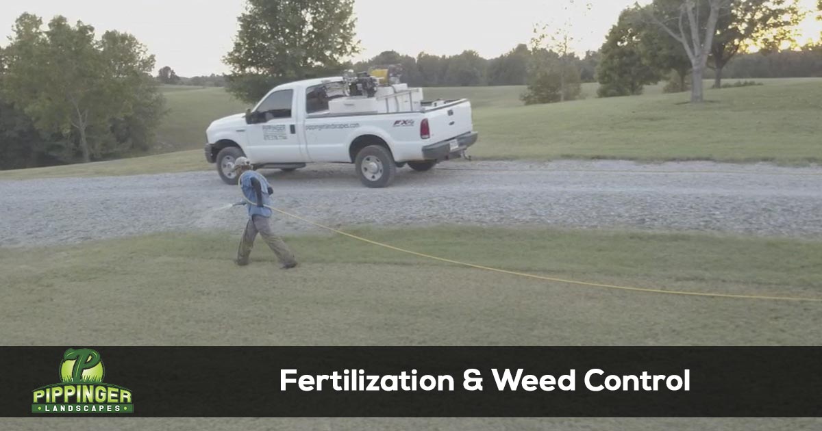 Fertilization & Weed Control Services
