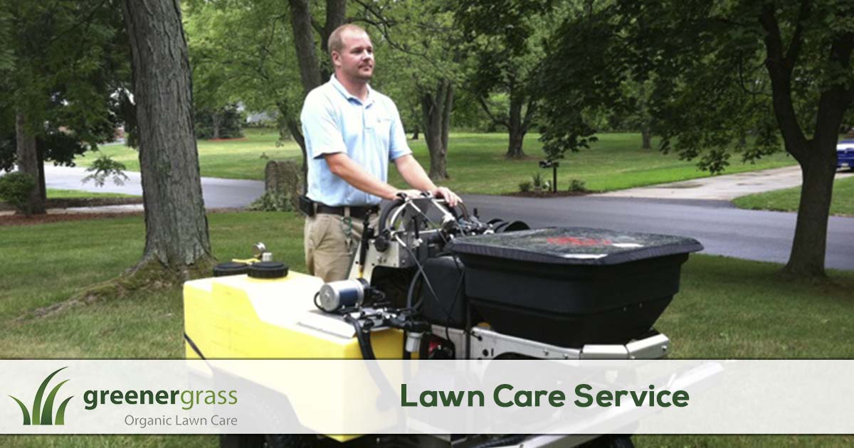 Lawn Care Services