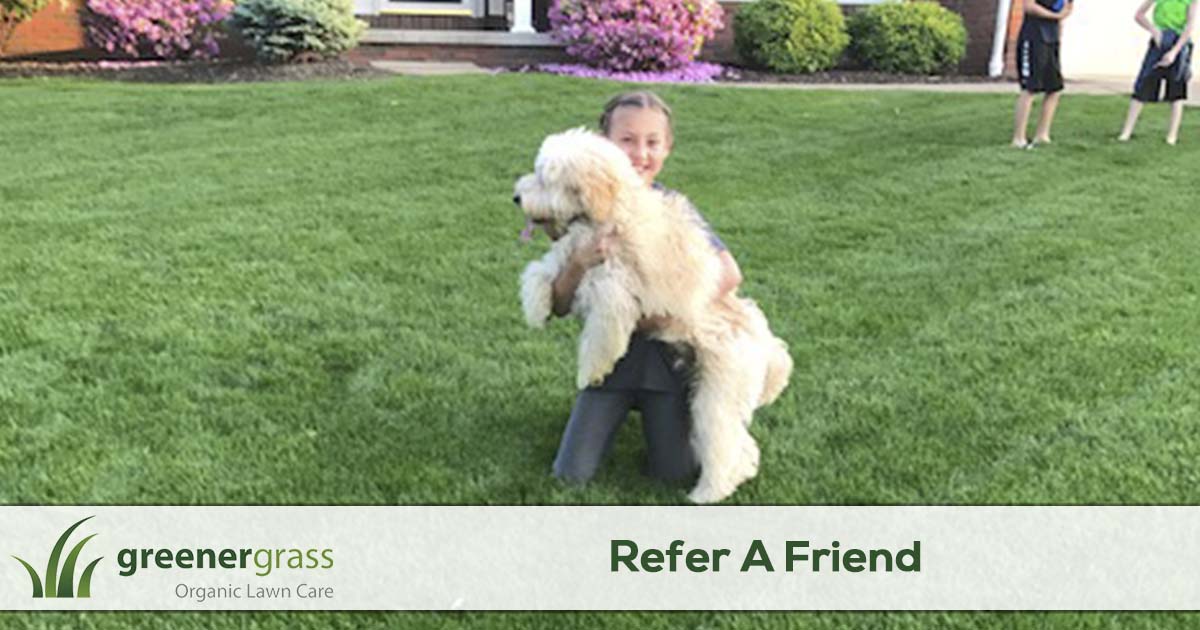 Refer a friend to Greener Grass
