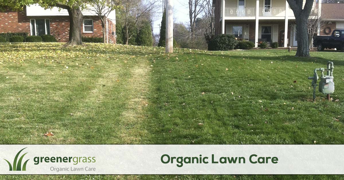 Organic Lawn Care