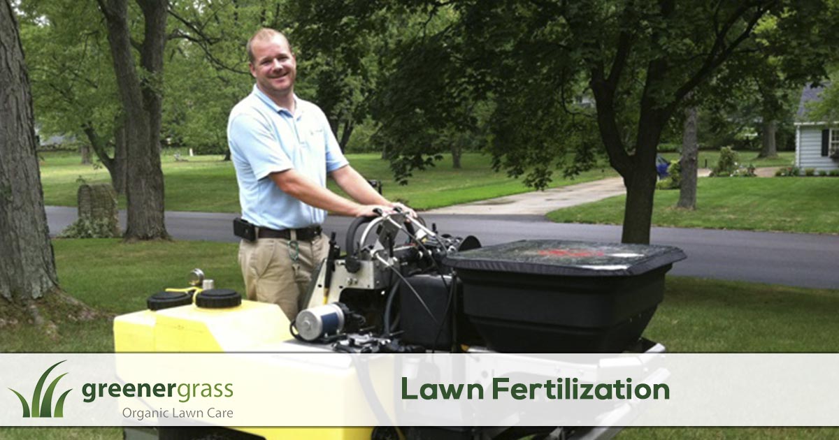 Lawn Fertilization Service in Canton, North Canton, and Green Ohio