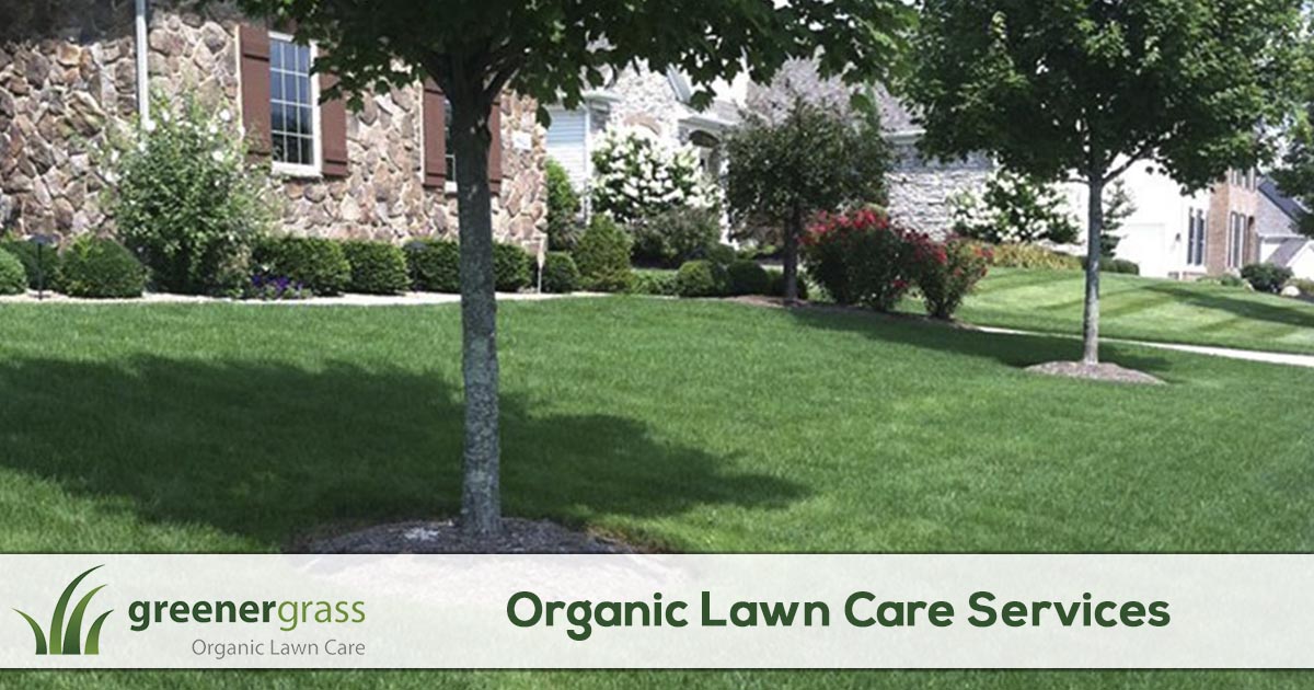 Organic Lawn Care Services