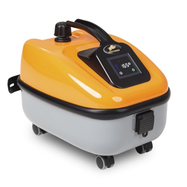 portable steam cleaner
