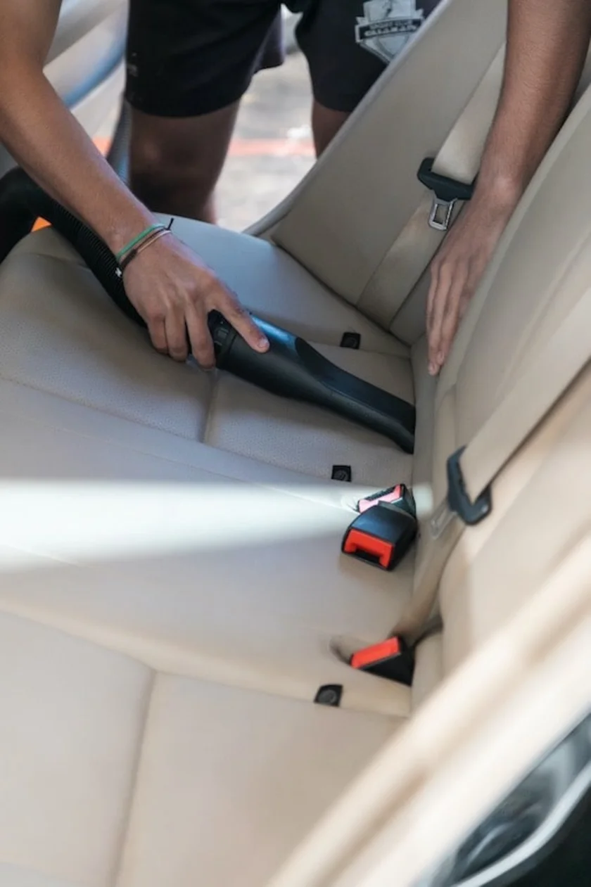 vacuuming seats from ants