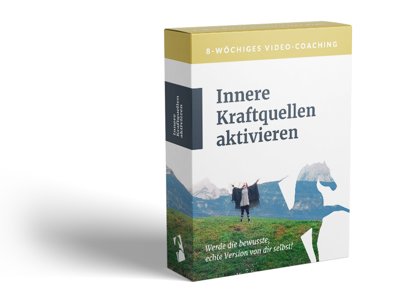 Online Coaching