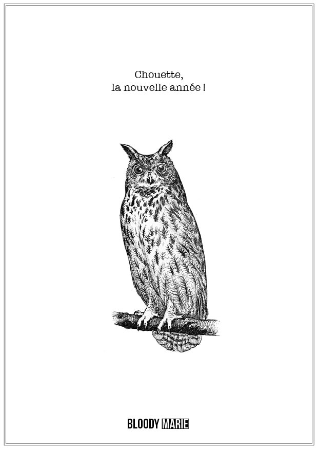 Chouette, la nouvelle année !