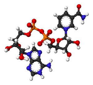 BR+NAD chemical compound