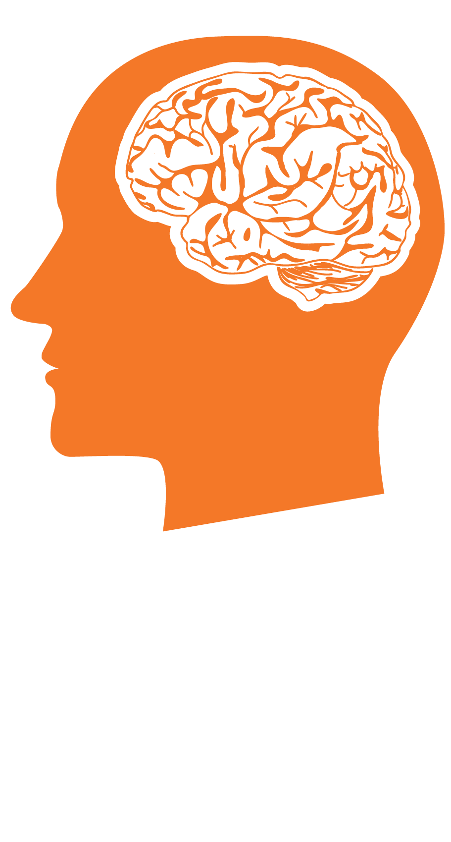 How BR+NAD affects your brain
