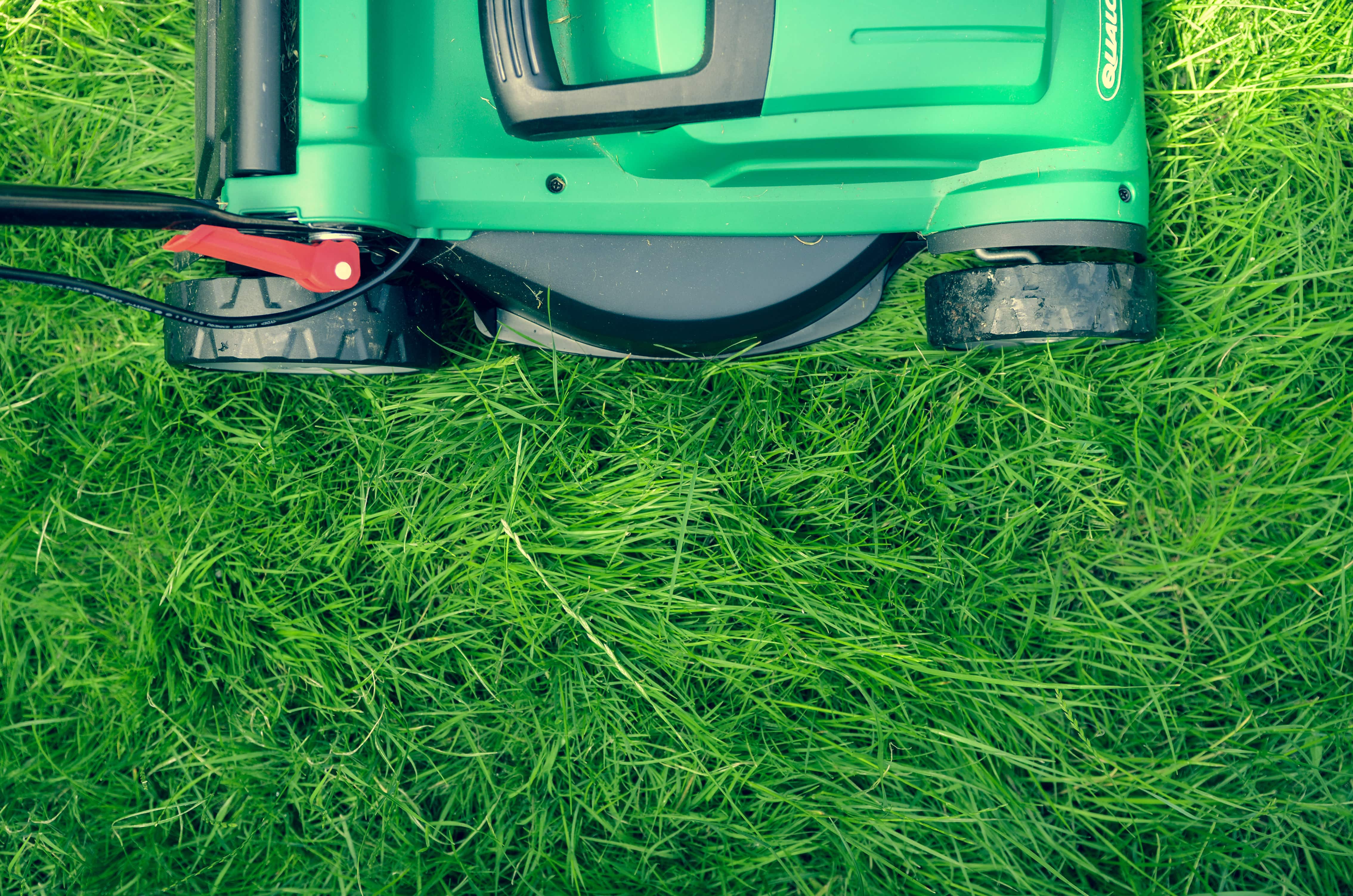 Photo of a lawnmower and grass