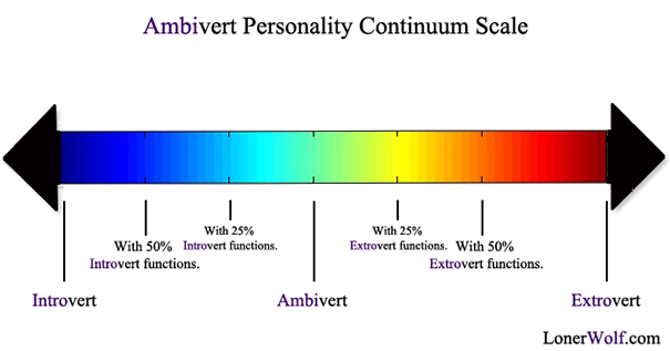 Ambivert personality continuum scale