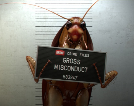 cockroach control