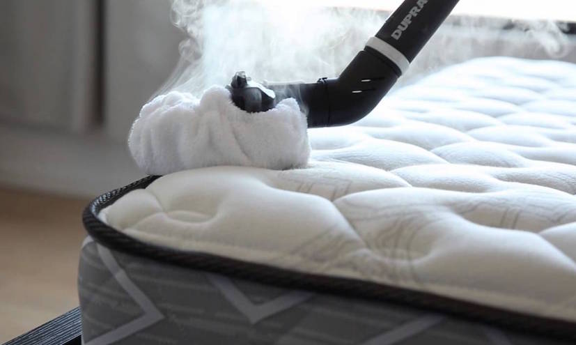 get rid of bed bugs in singapore