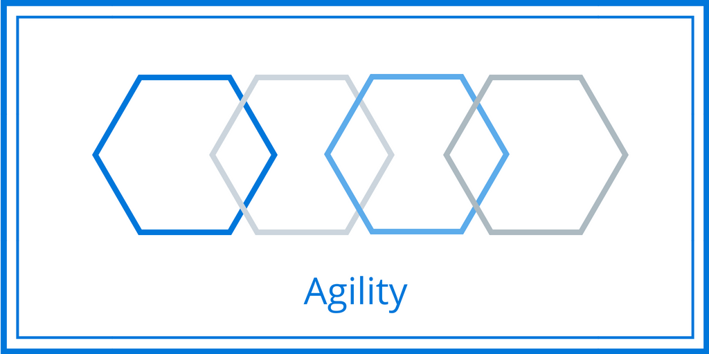 agile project management