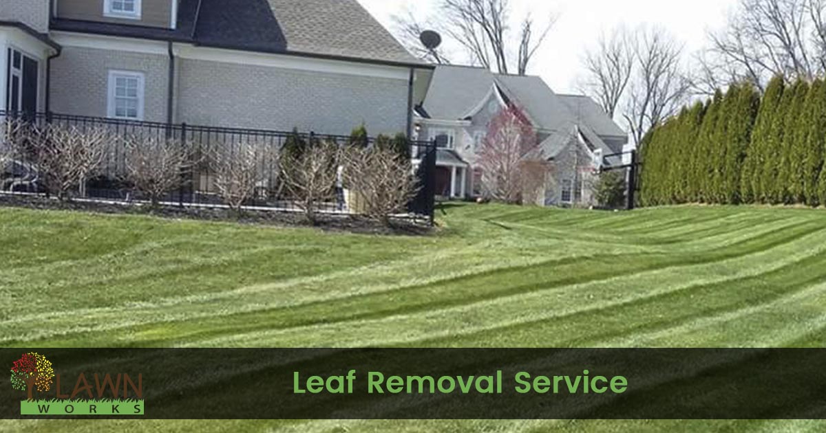 Leaf removal service