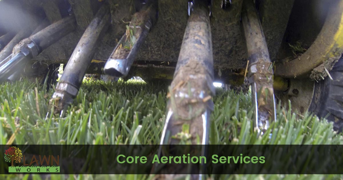 Lawn Aeration Service