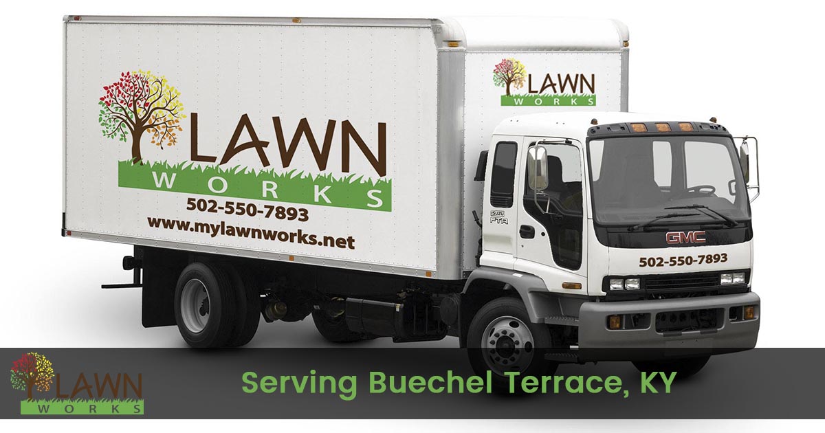 Lawn Care Service in Buechel Terrace Kentucky
