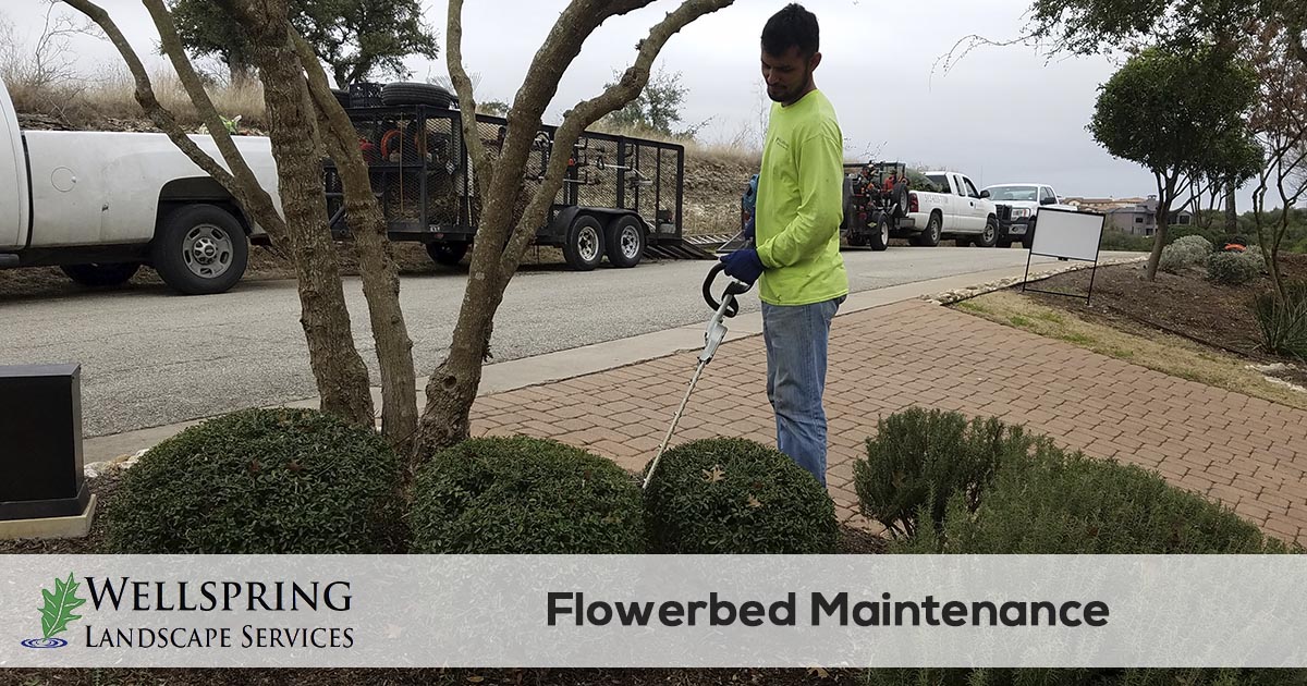 flowerbed maintenance