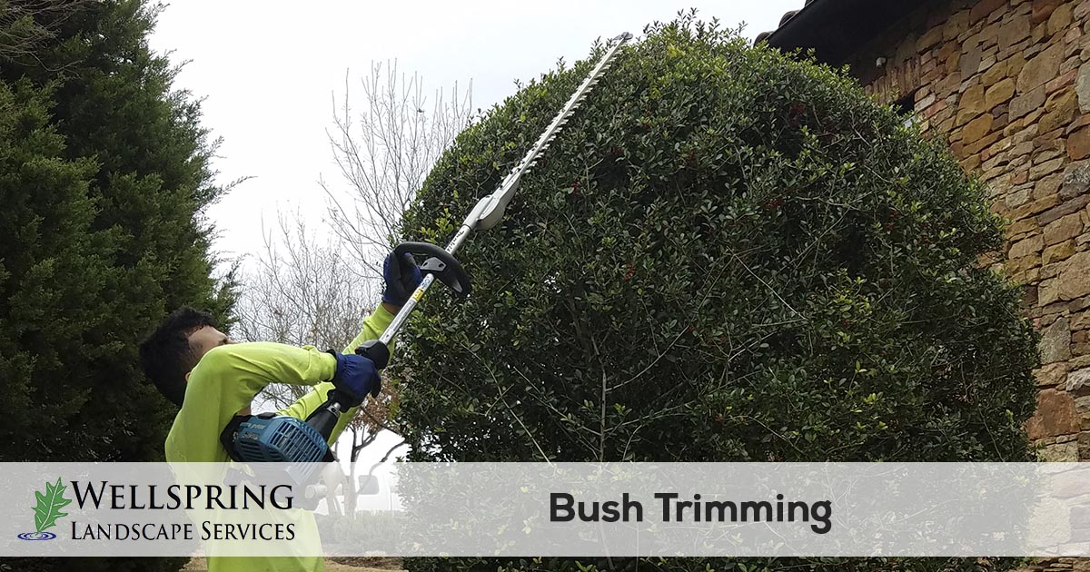 bush trimming service