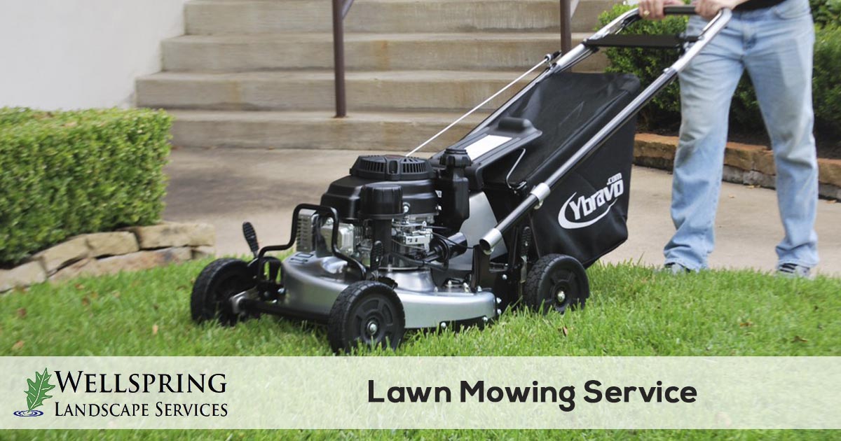 lawn mowing and grass cutting service