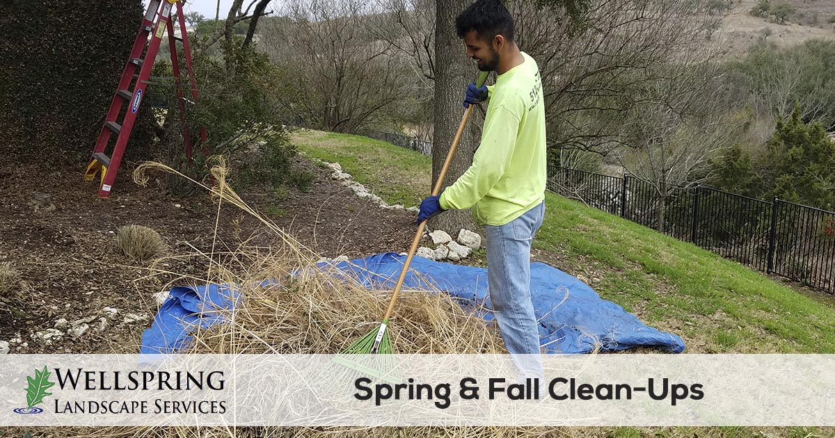 spring and fall yard clean up service