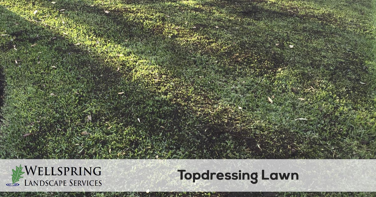 top dressing service