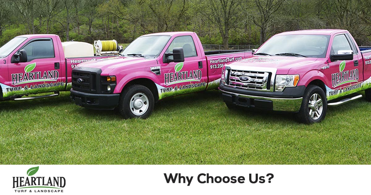 Choose a lawn care company