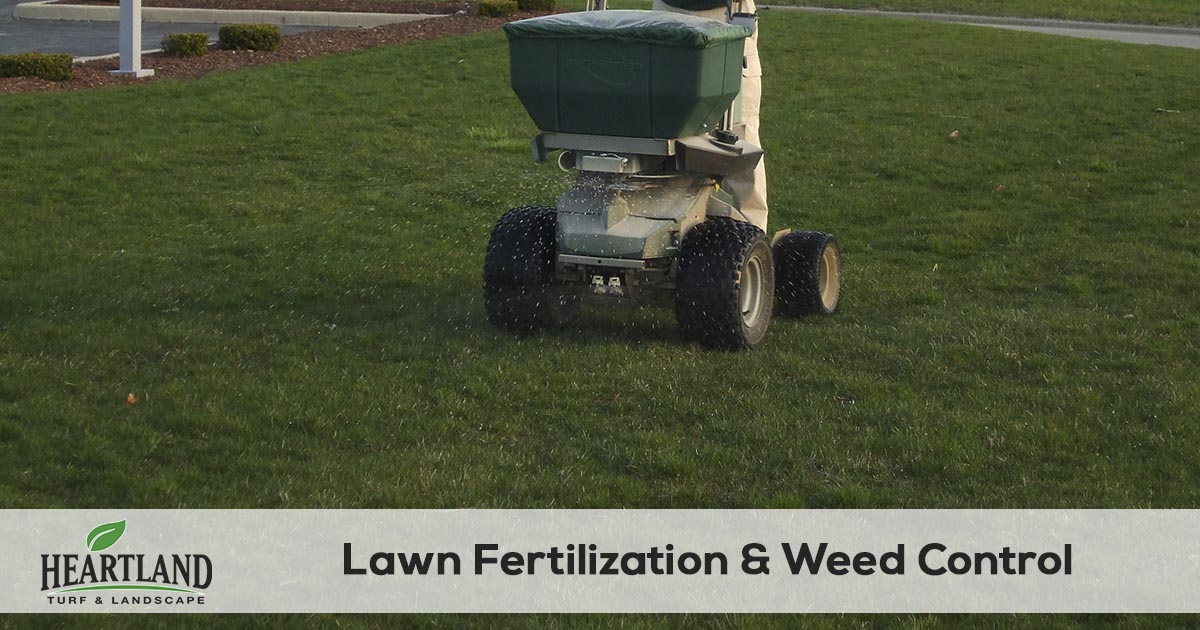 lawn fertilization and weed control