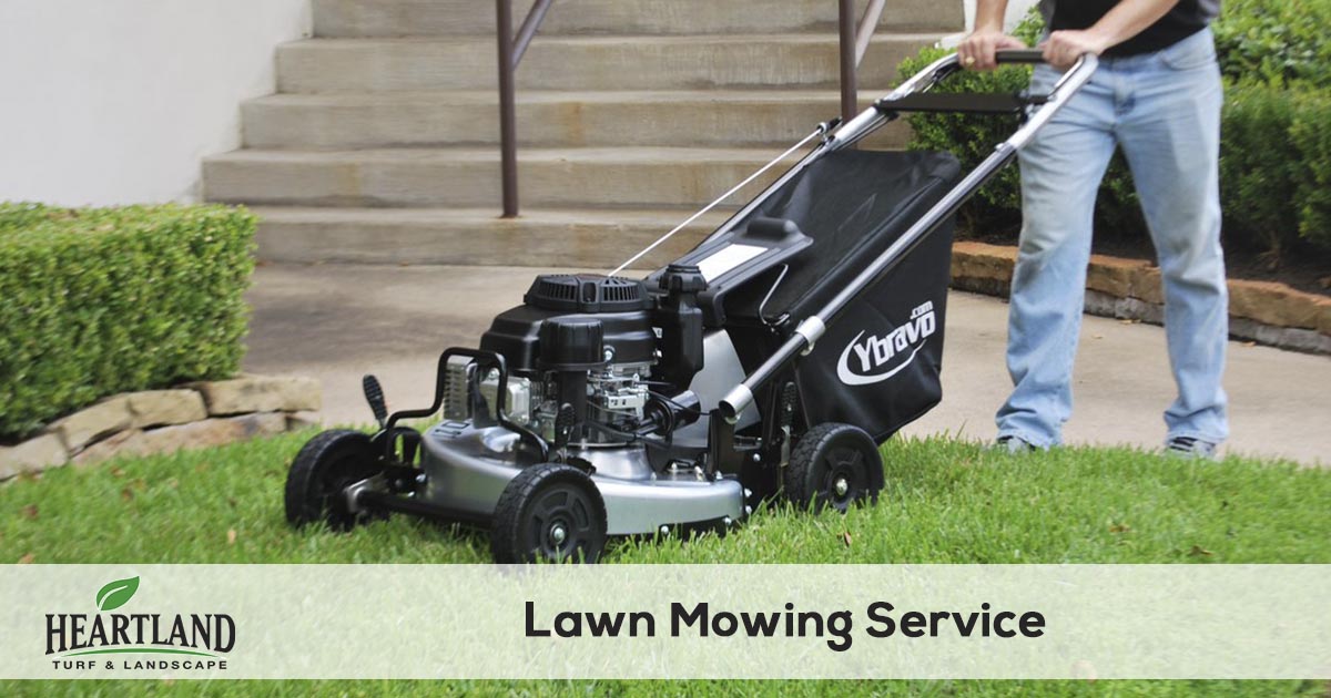 lawn mowing and grass cutting service