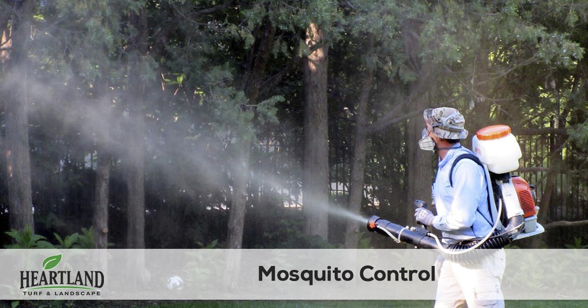 mosquito spraying service