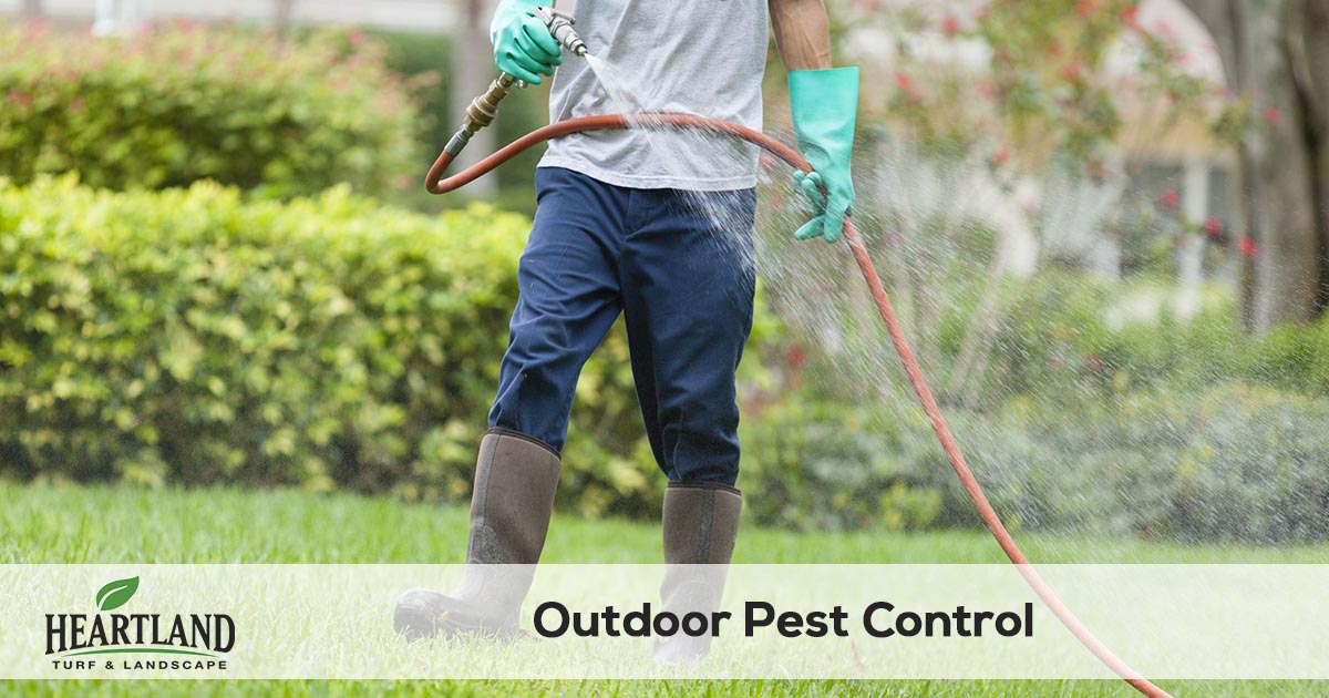 outdoor pest control and spraying