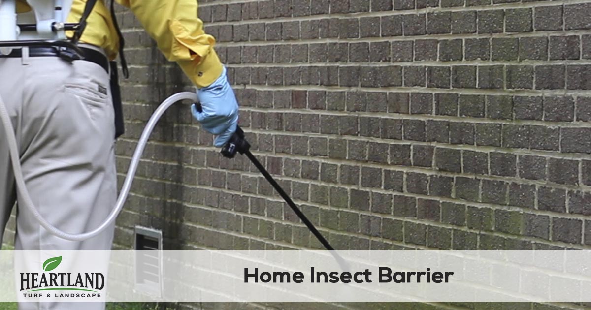 pest control spraying service