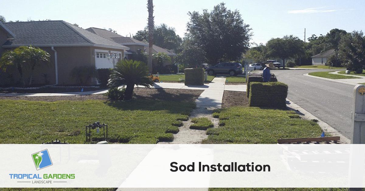 sod contractor in sarasota florida