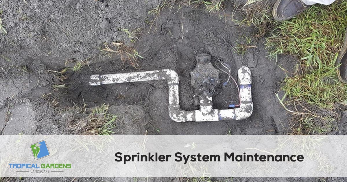 sprinkler system maintenance in sarasota florida