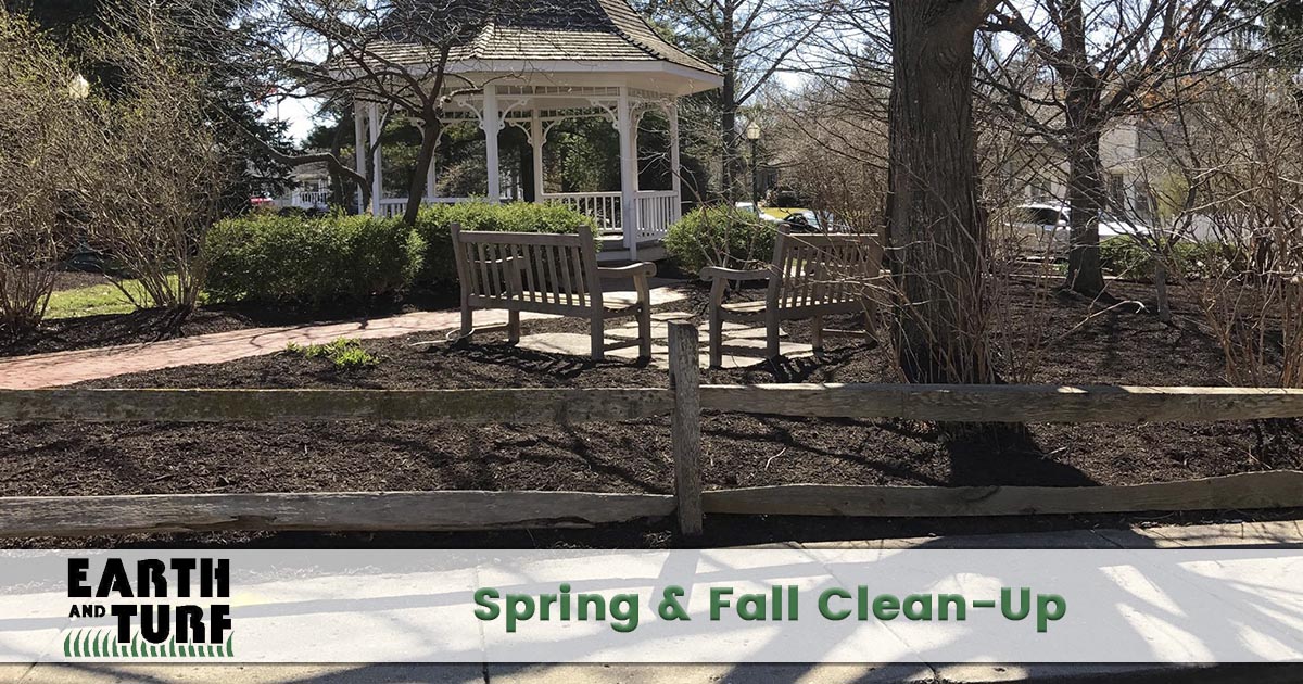 spring and fall clean up service