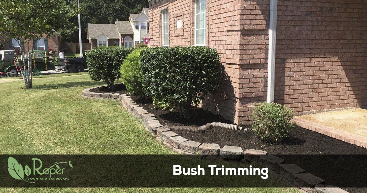 bush trimming and landscape maintenance
