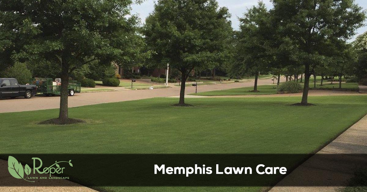 Memphis Lawn Care & Landscaping Service