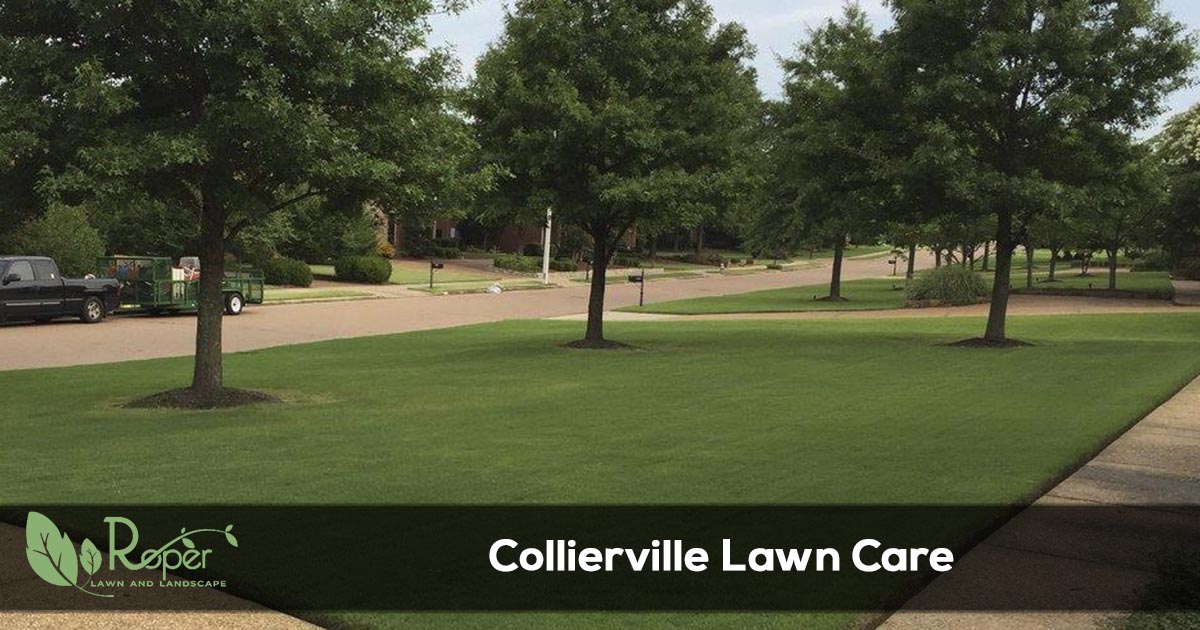 Collierville Lawn Care & Landscaping Service